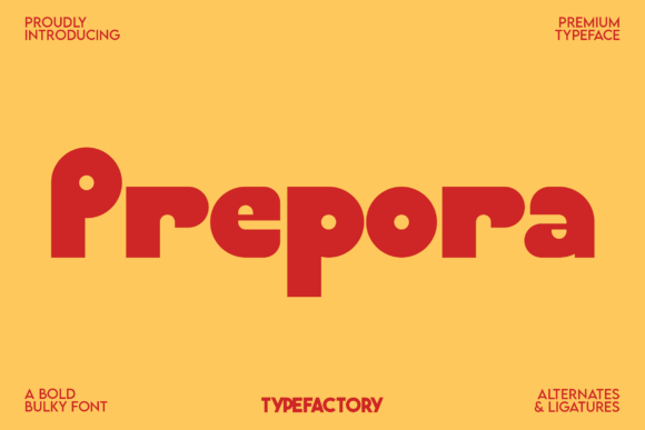 How Prepora Gave My Small Business a Brand Identity I Actually Love