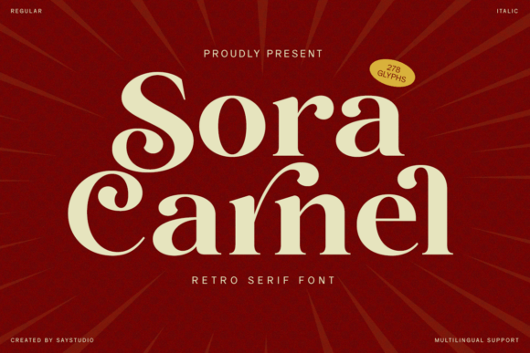 Sora Carnel: A Retro Serif Font Built for Modern Web Design