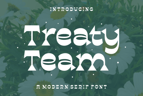 Treaty Team: A Modern Serif Font for Campaigns That Stand Out